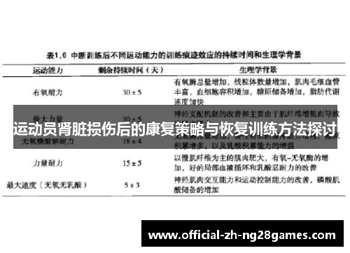 运动员肾脏损伤后的康复策略与恢复训练方法探讨